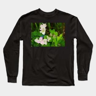 Bougainvillea Long Sleeve T-Shirt